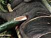 PA260377.jpg