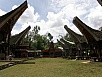 PA260396.jpg