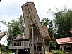 PA260398.jpg