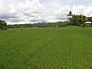 PA260400.jpg