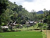 PA260402.jpg