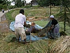 PA260404.jpg