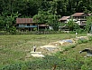 PA260406.jpg