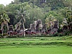 PA260413.jpg