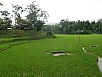PA260418.jpg