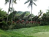 PA260419.jpg