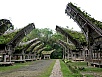 PA260436.jpg