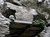 PA260444.jpg