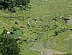 PA270464.jpg