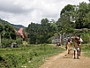 PA270491.jpg