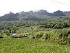 PA270492.jpg