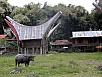PA270499.jpg