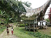 PA270508.jpg