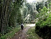 PA270516.jpg