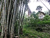 PA270525.jpg
