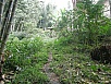 PA270526.jpg
