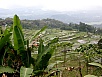 PA270533.jpg