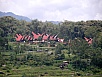 PA270547.jpg