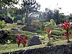 PA270548.jpg