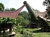 PA270556.jpg