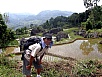 PA270560.jpg