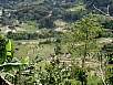 PA270594.jpg