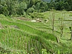 PA270600.jpg