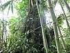 PA270632.jpg