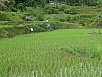 PA270639.jpg