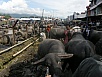 PA280667.jpg