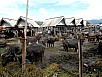 PA280668.jpg