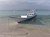 PA290744.jpg
