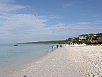 PA290756c.jpg