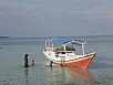 PA290756d.jpg