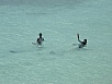 PA290758d.jpg