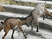 PA290777.jpg