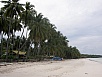 PA290808.jpg