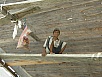 PA290824.jpg
