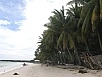 PA290831.jpg