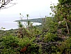 PA290855.jpg