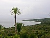 PA290857.jpg