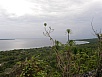 PA290861.jpg