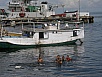 PA311034.jpg