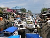 PA311051.jpg