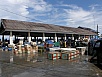 PA311059.jpg
