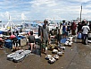 PA311060.jpg