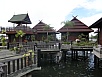 PA311069.jpg