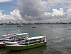PA311082.jpg