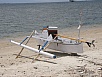 PA311103.jpg