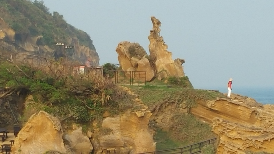 20161026_153745.jpg